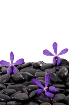 Spa Concept Royalty Free Stock Photography Spa Concept Royalty Free Stock Photography