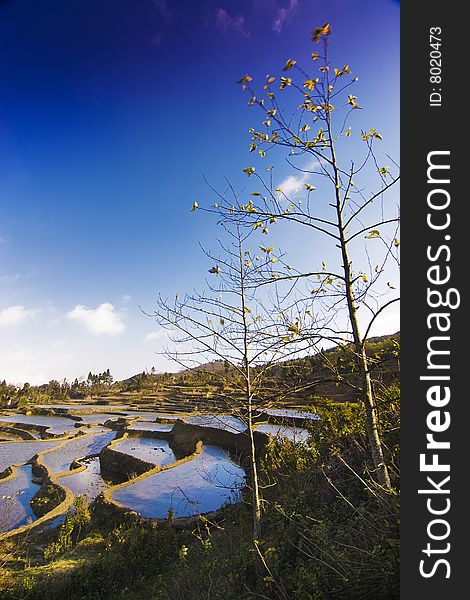 The beautiful  rural scenery in Chinese Yunnan