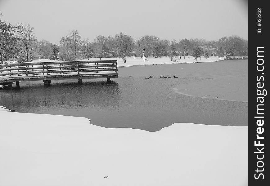 Winter pond with pier and ducks during a January snowstorm