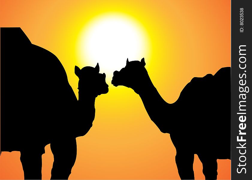 Two camels and sun, vector illustration