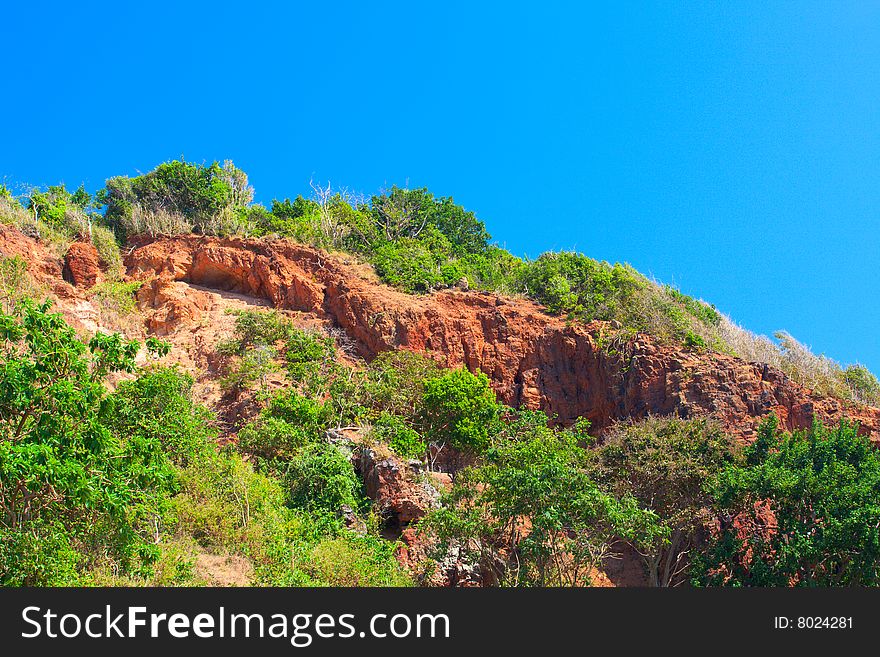 Trees on the rock, Ko Larn