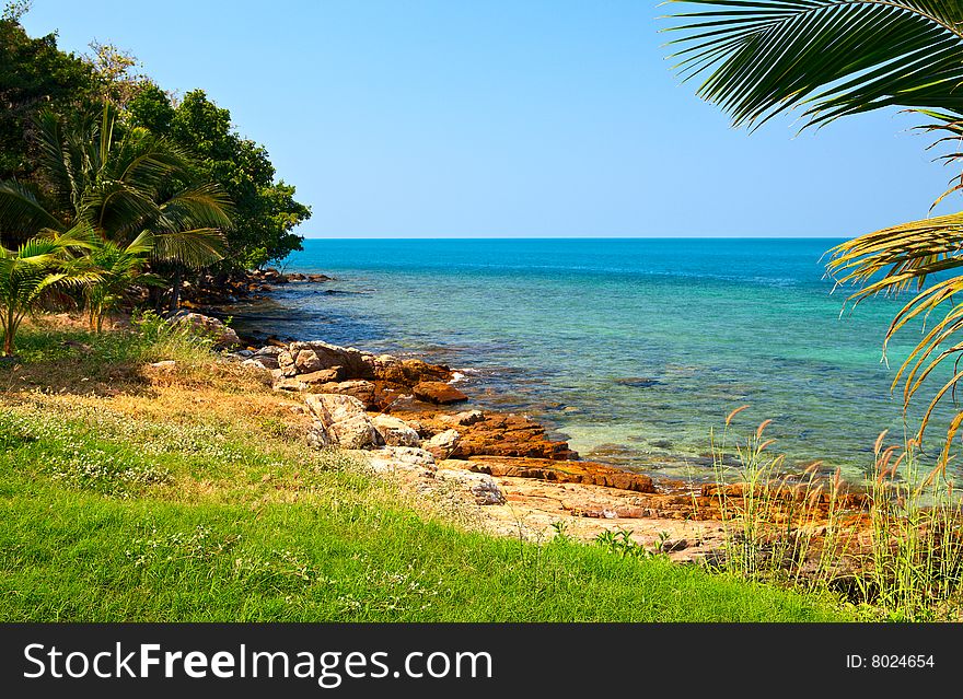 Green grass near blue water. Green grass near blue water