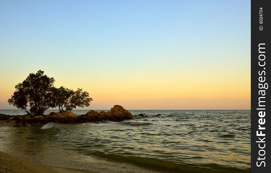 Sea view, Rock and tree