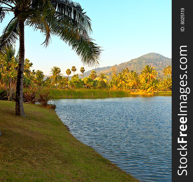 Tropical Garden, Phuket, Thailand, Asia. Tropical Garden, Phuket, Thailand, Asia