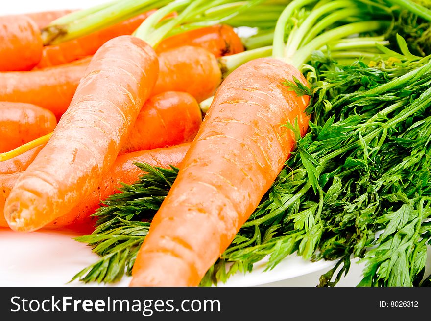 Detail off fresh organic carrots with stems. Detail off fresh organic carrots with stems