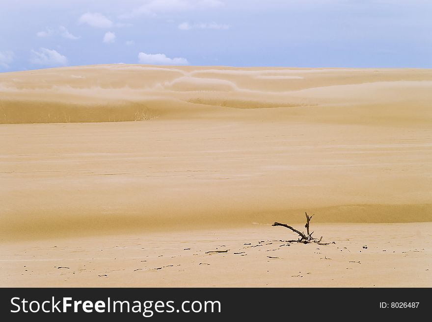 SÅ‚owinski National Park - sand dunes