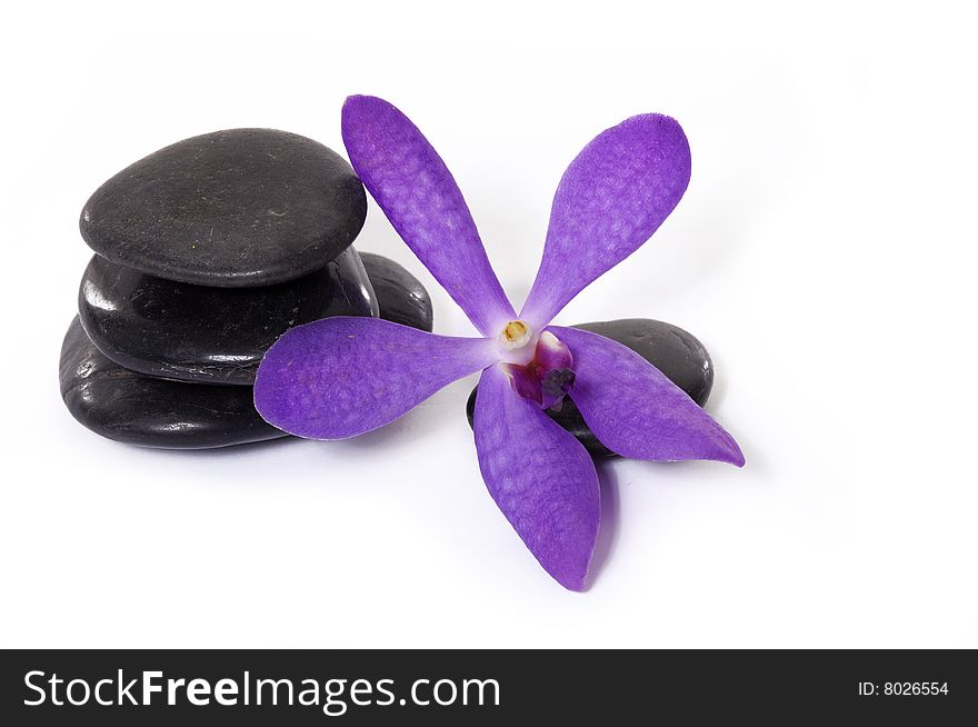 Spa objects on white background. Spa objects on white background