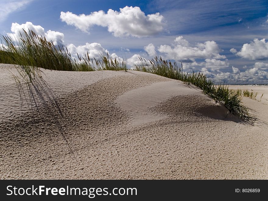 Sand dunes on the beach - sea the Baltic