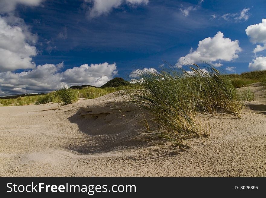 Słowinski National Park - sand dunes. Słowinski National Park - sand dunes