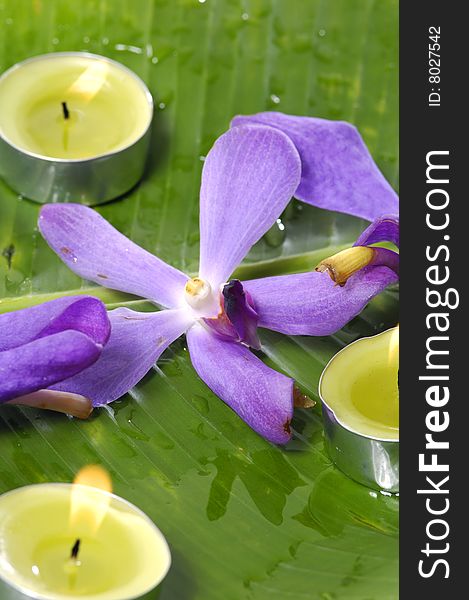 Orchid and stones on banana leaf. Orchid and stones on banana leaf