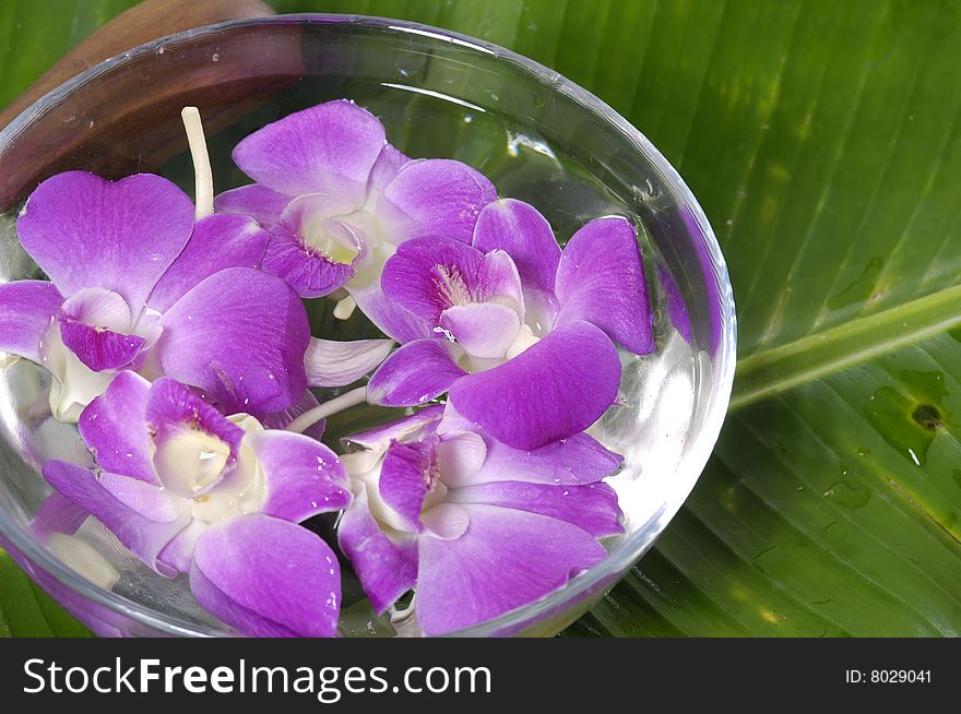 Spa objects on white background. Spa objects on white background