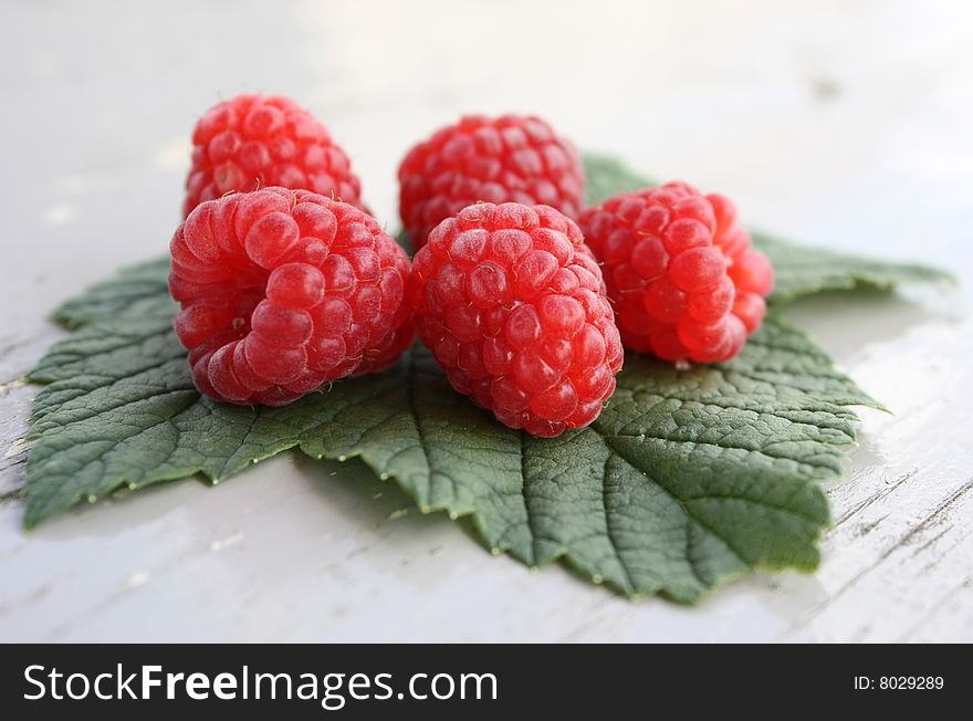 Five Raspberries on the Green Leaf