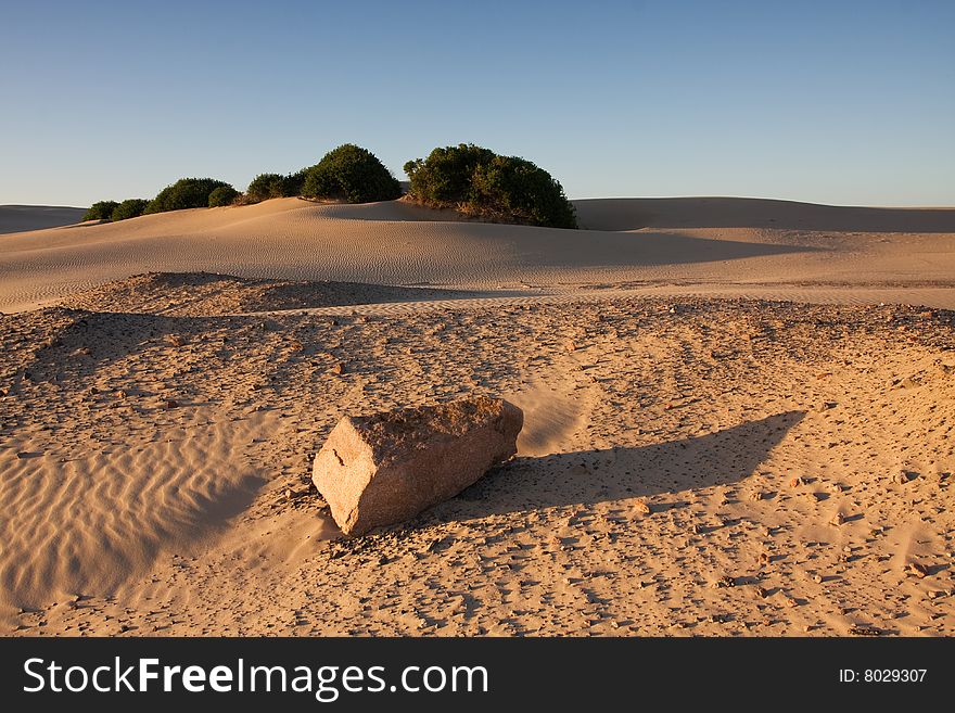 Sand dunes during sunset, dramatic shadow play at Stockton dunes in Anna Bay, NSW, Australia. Sand dunes during sunset, dramatic shadow play at Stockton dunes in Anna Bay, NSW, Australia