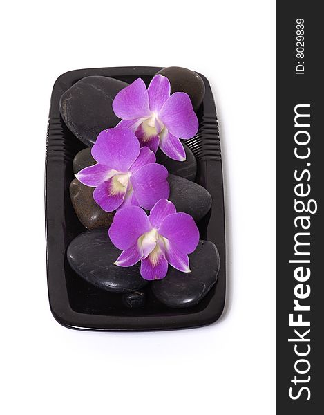 Beautiful purple orchid and black stone. Beautiful purple orchid and black stone