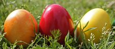 Easter Eggs Royalty Free Stock Photography Easter Eggs Royalty Free Stock Photography
