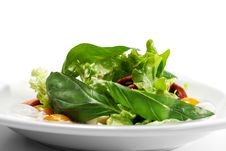 Salad - Smoked Magret With Red Chaud-Froid Sauce Royalty Free Stock Photography