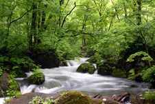 Oirase-gawa River Stock Photos Oirase-gawa River Stock Photos