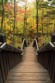 Stairs Leading Into Autumn Forest Stock Image Stairs Leading Into Autumn Forest Stock Image