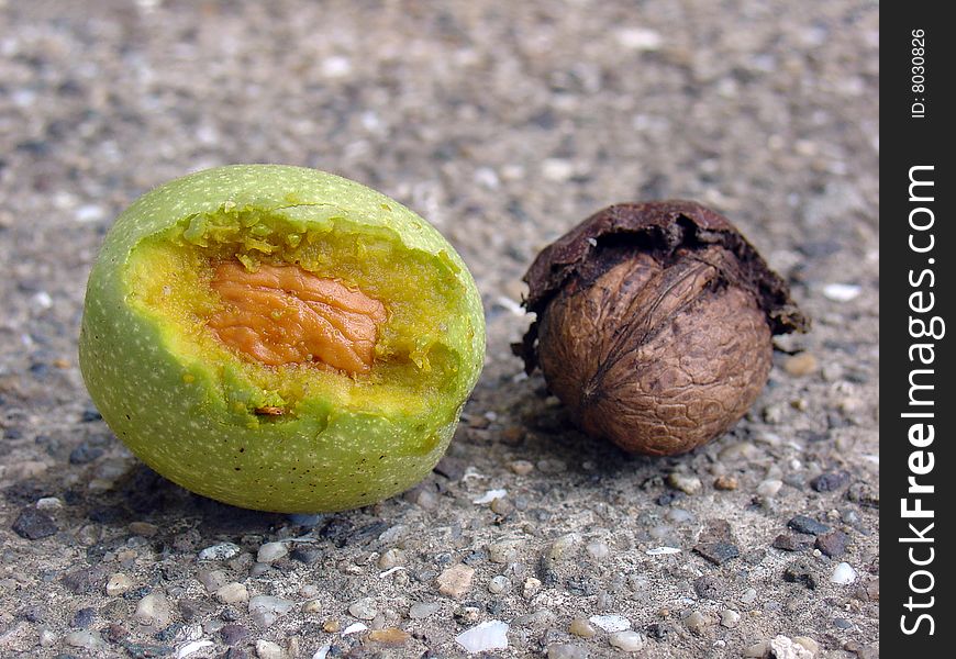 Walnuts (young and old) Background