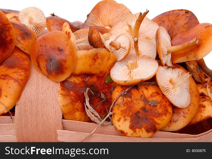 Fresh appetizing mushrooms in a basket on a white background.