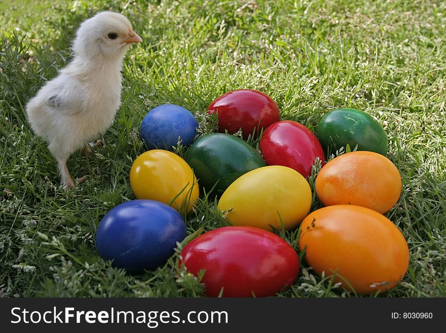 Easter eggs and chicken on the grass