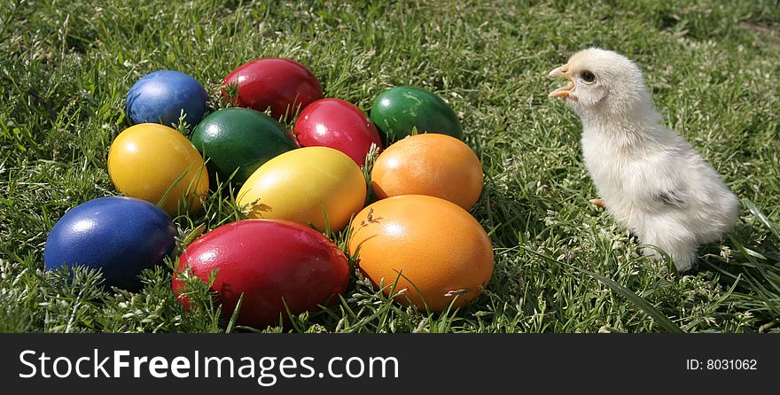 Easter eggs and chicken on the grass