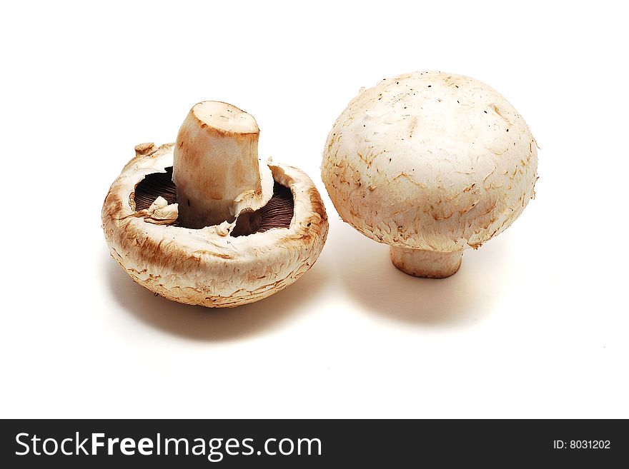 Mushrooms isolated on white, ready to be prepared