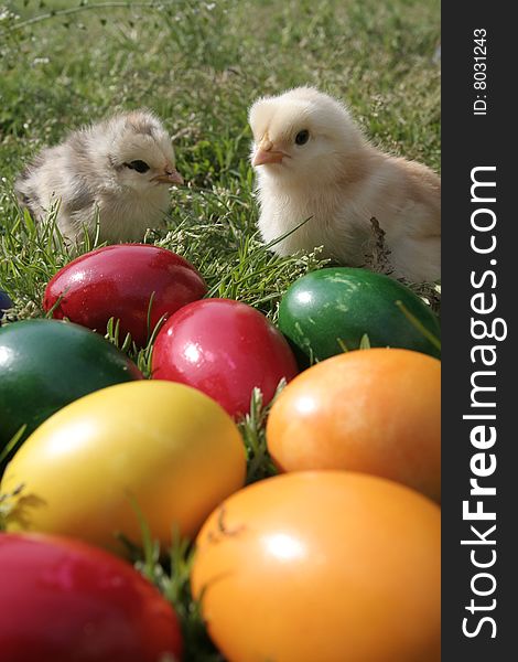 Easter eggs and two chickens on the grass. Easter eggs and two chickens on the grass