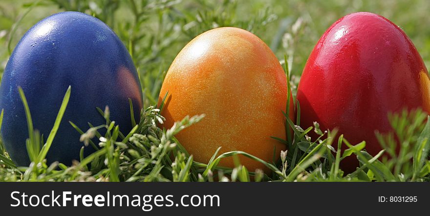 Easter eggs with different color on the grass