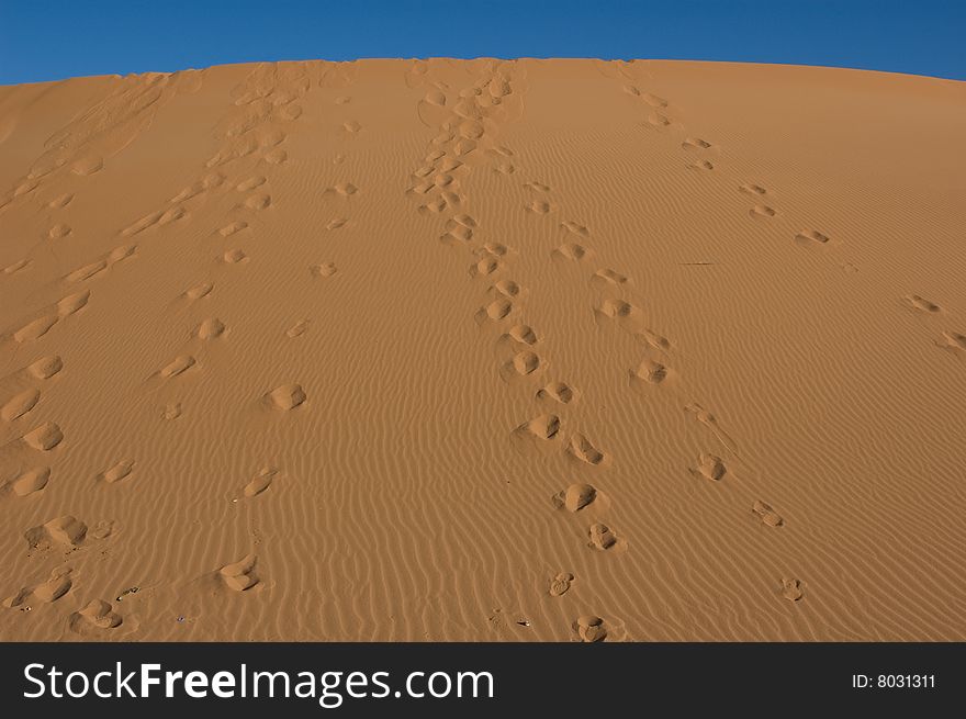 Feet running in the desert