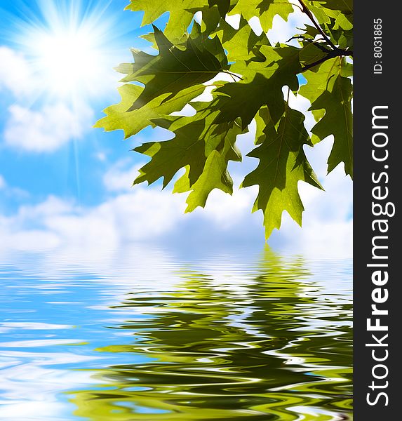 Green leaves reflecting in the water on blue sky background