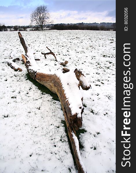Snow in a field, and a fallen tree. Snow in a field, and a fallen tree