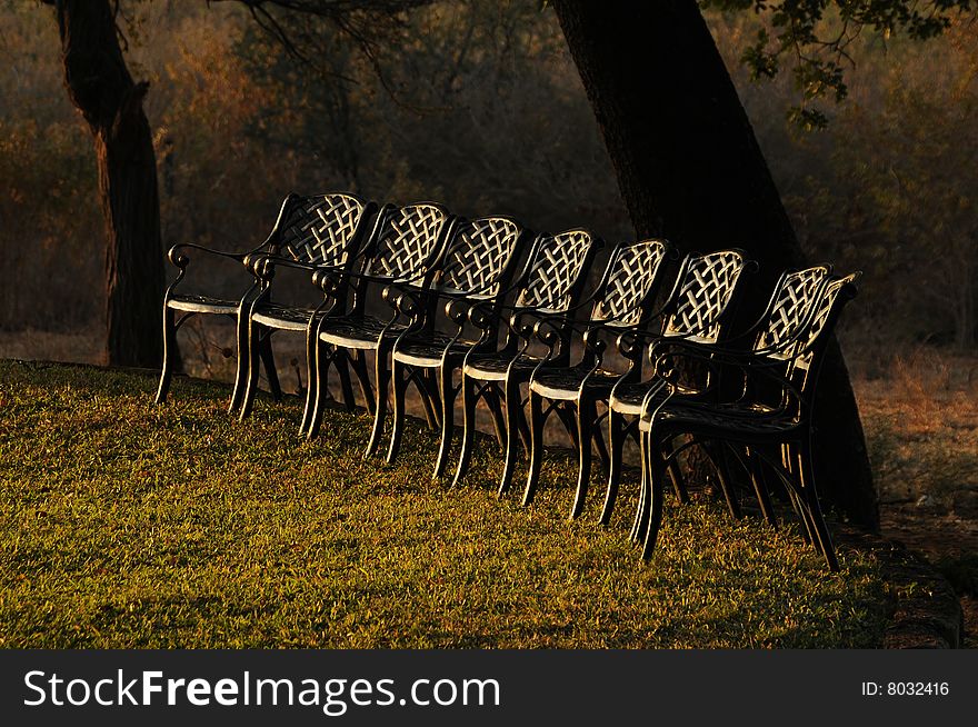 A row of lawn chairs facing the setting sun.