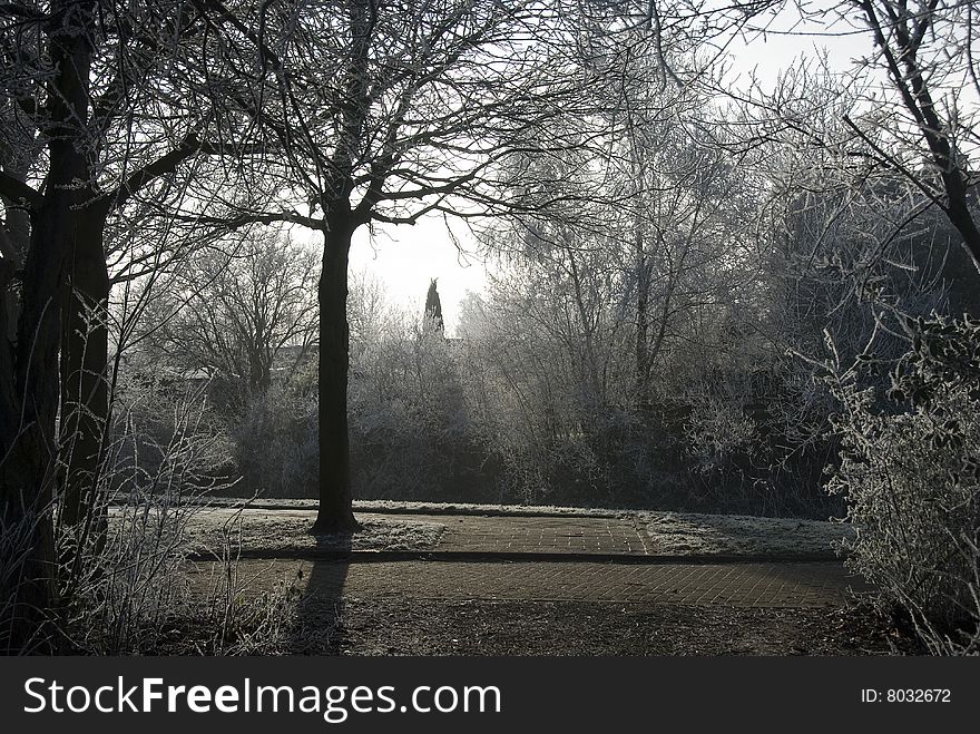 Ice trees and ice on river in winter holland in europe. Ice trees and ice on river in winter holland in europe