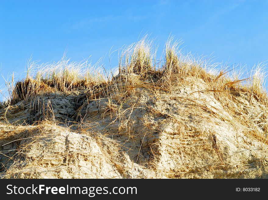 Wavy grass and sand along the sea. Wavy grass and sand along the sea