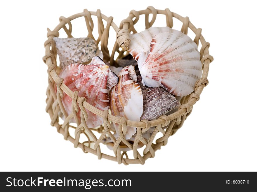 Basket filled with couple of shells