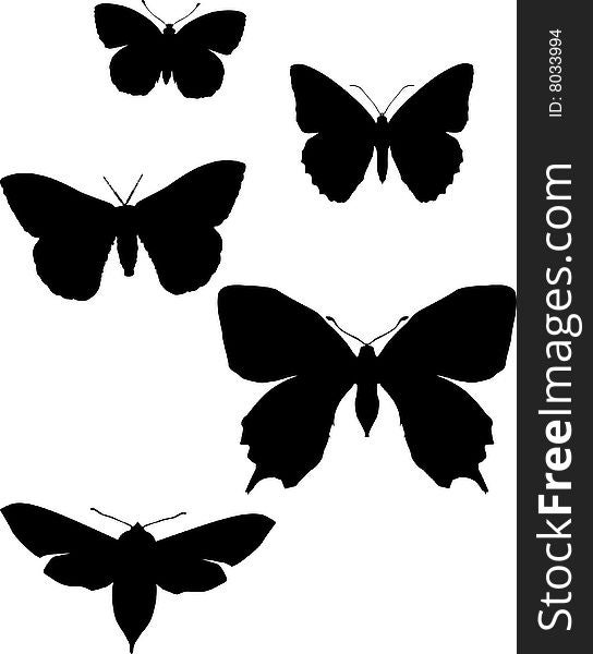 Illustration with butterfly silhouettes collection isolated on white background. Illustration with butterfly silhouettes collection isolated on white background