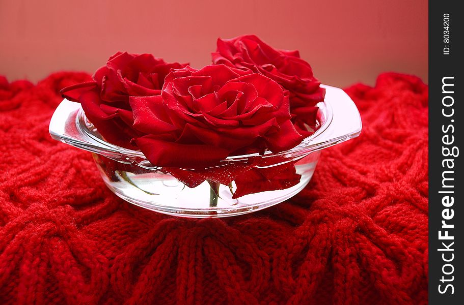 Scarlet roses in a glass flat vase on the woolen knitted serviette