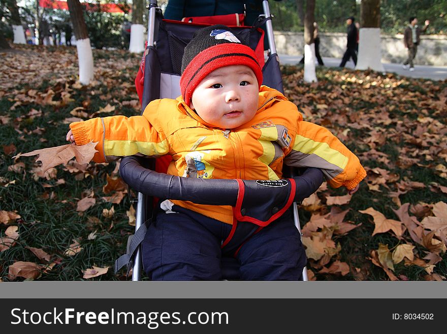 A little baby sitting in a baby carrier in autumn leaves. A little baby sitting in a baby carrier in autumn leaves