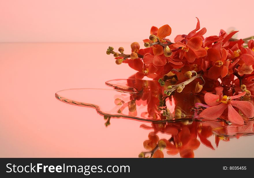 Pink orchids on the mirror with water