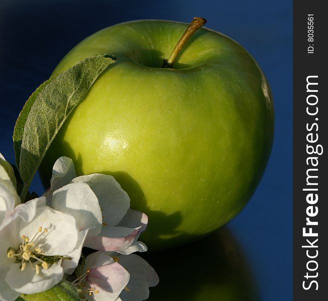 Closeup of green apple against of blue background. Closeup of green apple against of blue background.