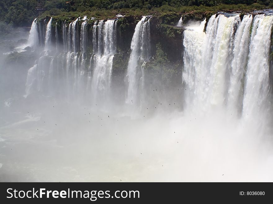 Powerful waterfall of Iguacu in Brazil