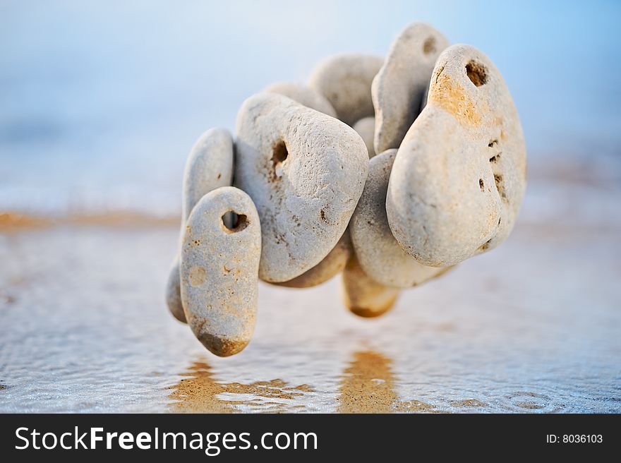 The sea pebble flies over water in the summer morning. The sea pebble flies over water in the summer morning