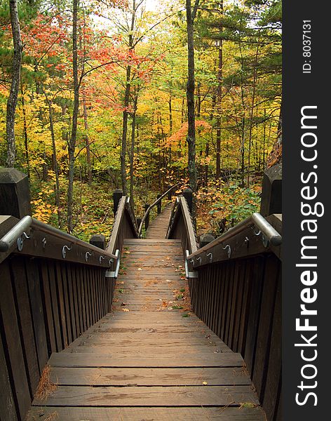 Stairs Leading Into Autumn Forest