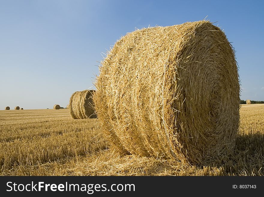 Straw roll in a harvest field