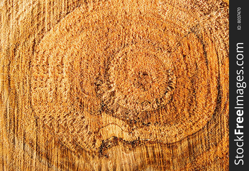 Cut of a tree close up Ð°bstract background