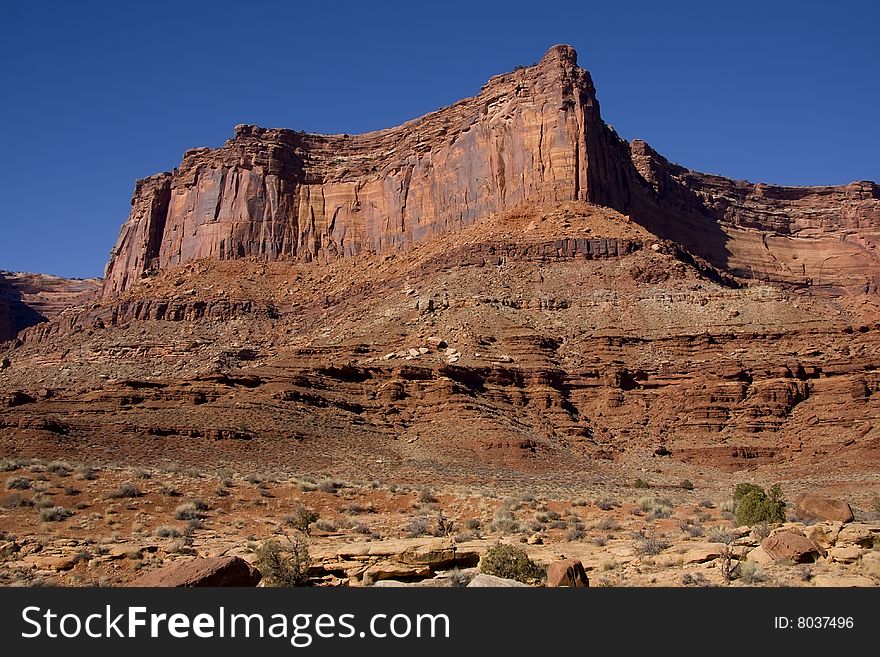 View of the red rock formations in Canyonlands National Park with blue sky�