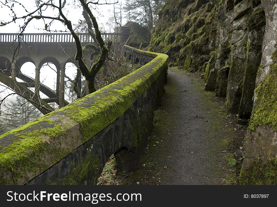 A Hiking Trail On A Foggy Day