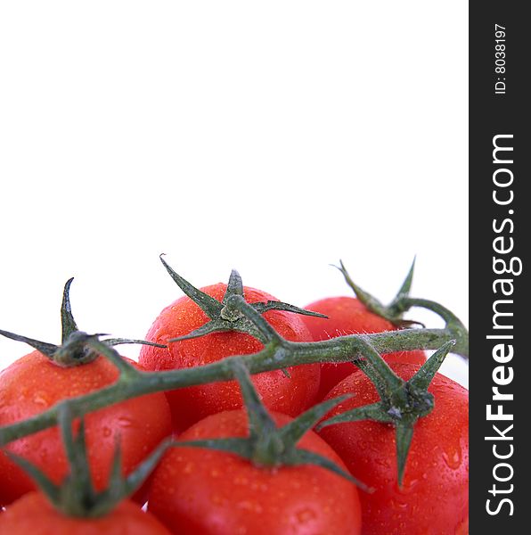 A bunch of tomatoes isolated over white background. Lot of copyspace. A bunch of tomatoes isolated over white background. Lot of copyspace.