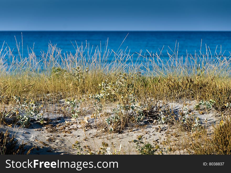 Italian summer near the sea in Sardinia. Italian summer near the sea in Sardinia